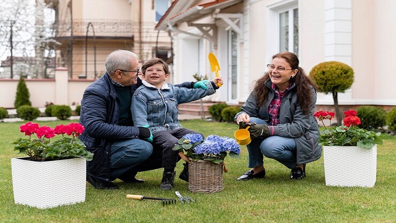 home-hearted landscaping